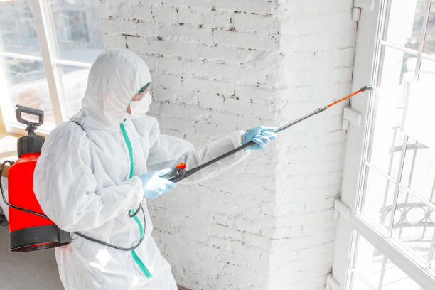 Why You Should Choose Our Mold Remediation Services in Brass Castle, NJ